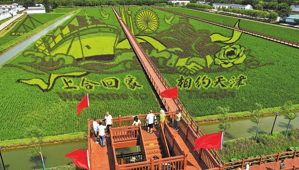 SCO summit poised for fruitful outcomes 	 	The upcoming summit of the Shanghai Cooperation Organization in Tianjin will mark the largest gathering the SCO has ever seen, a Foreign Ministry spokesman said on Thursday, highlighting China's readiness to host a summit of friendship, unity and fruitful results.